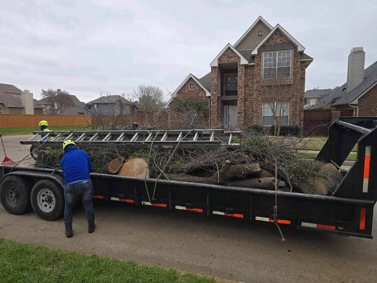 Expert Tree Pest Control with proper safety equipment in Pittsfield